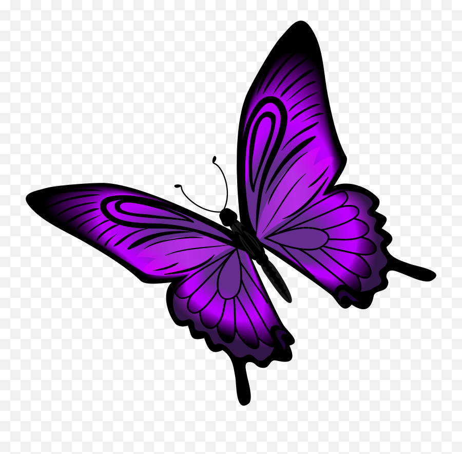 Purple Butterfly Emoji Wallpaper - Novocomtop,Purple Butterfly Emojis