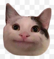 Meme - Polite Cat Meme Emoji,Emoji Meme