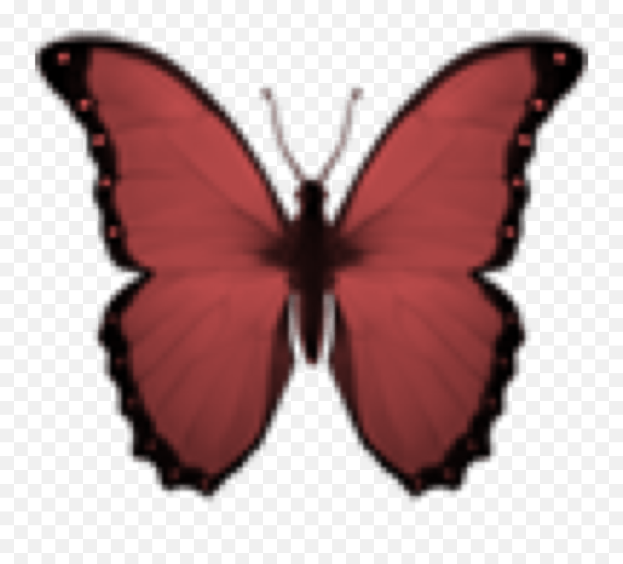 Butterfly Emoji Transparent - Black Butterfly Emoji,Emoji Crown Overlay