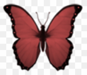 Butterfly Emoji Transparent - Black Butterfly Emoji,Emoji Crown Overlay