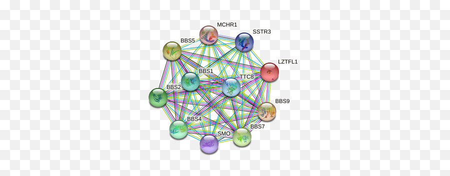 Lztfl1 Protein - Dot Emoji,Neurosensory Processing Mechanisms On Emotions