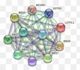 Lztfl1 Protein - Dot Emoji,Neurosensory Processing Mechanisms On Emotions