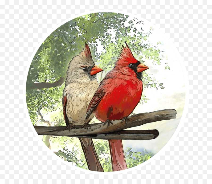 Cardinal Screen Door Magnets - Door Emoji,Cardinal Bird Facebook Emoticon