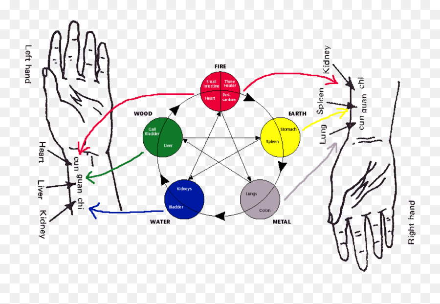 Acupuncture Acupressure Shiatsu Massage - Dot Emoji,Kidney Meridian Emotions