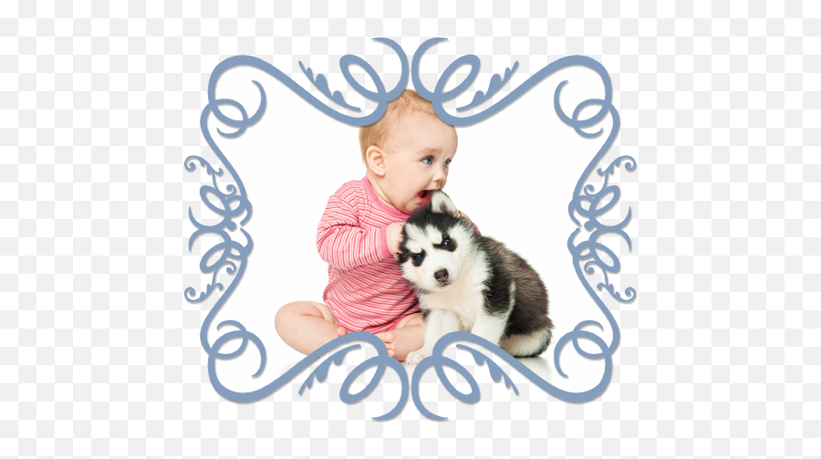 How A Baby Changes Things In 10 Ways You Might Not Have Emoji,Husky Dog Emotions