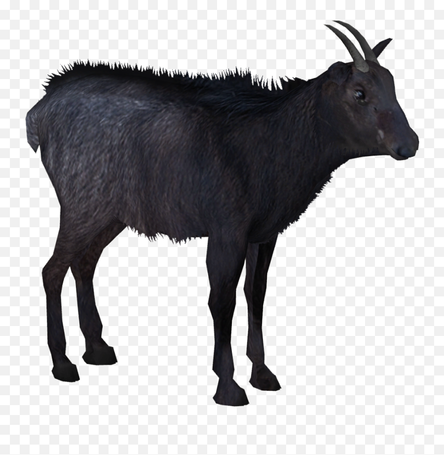 Sumatran Serow Lukamas Zt2 Download Library Wiki Fandom Emoji,Goat Emoji]