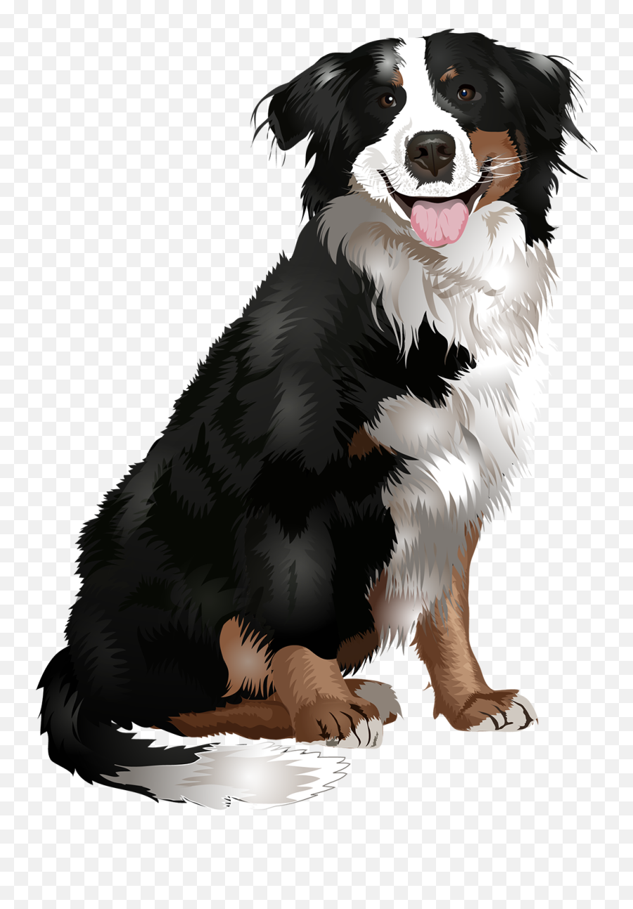 Perros Señora T - Bernese Mountain Dog Dog Clipart Emoji,Bernese Mountain Dog Emoji