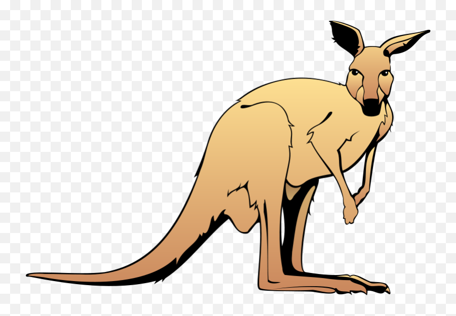 Kangaroo Animal Clipart Free Images - Kangaroo Clipart Emoji,Kangaroo Emoji
