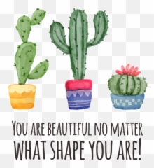 Pin On Succulent Cactus Quotes - Cactus And Succulent Cups Emoji,Toilet And Broken Heart Emoji