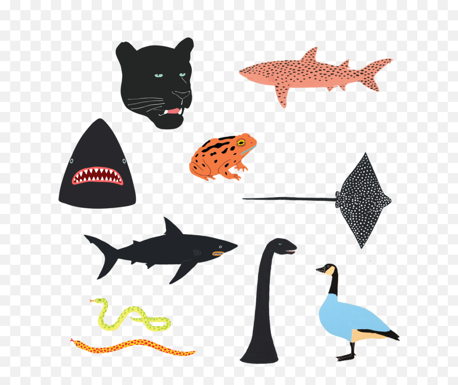 Jewelry U0026 Accessories - Yellow Springs Toy Company Cartilaginous Fishes Emoji,Emoji Temporary Tattoos