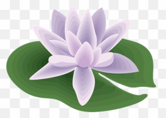 80 Free Salute U0026 Army Illustrations - Pixabay Zen Wellness Spa Emoji,Military Salute Emoji