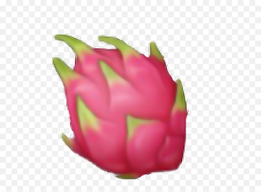 Download Fruit Fruits Pink Green Dragon - Pitahaya Emoji,Dragon Emoji