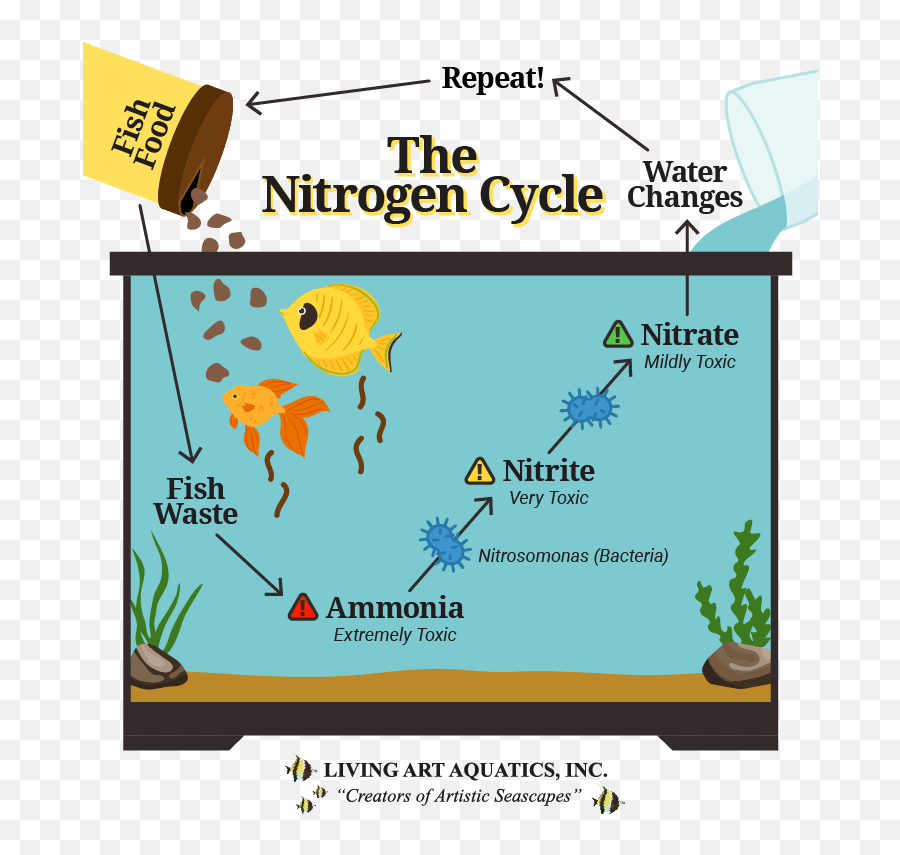 Why Is The Nitrogen Cycle Important For Your Aquarium Emoji,Fishtank Emoticon For Facebook