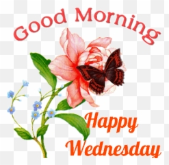 Animated Happy Wednesday Gifs - Memes Gifs Images Good Morning Happy Wednesday Gif Emoji,Hump Day Emoticon