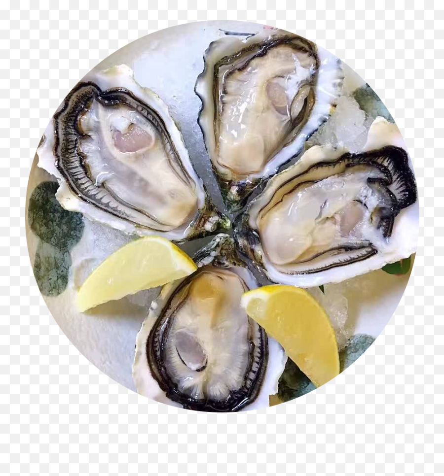 The Most Edited - Oysters Rockefeller Emoji,Oyster Emoji