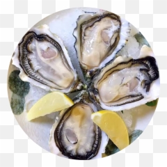 The Most Edited - Oysters Rockefeller Emoji,Oyster Emoji