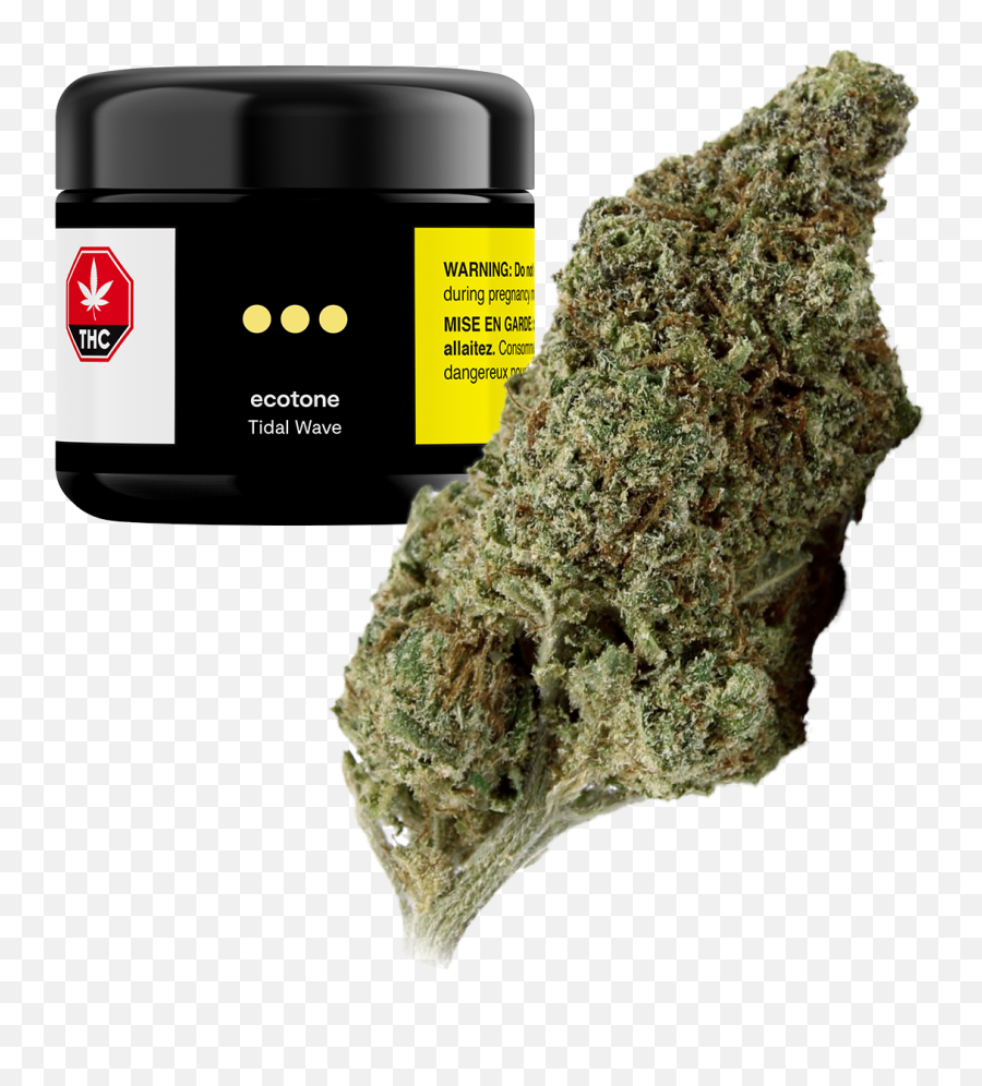 Ecotone - A Collection Of Cannabis Essentials U2013 Ecotone Cannabis Sour Diesel Emoji,Tidal Wave Emoji