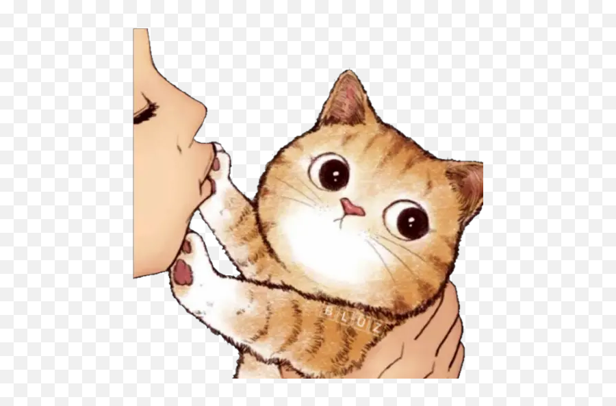 No Karen Stickers For Whatsapp - Cat Cartoon And People Kiss The Cat Emoji,Karen Emoji