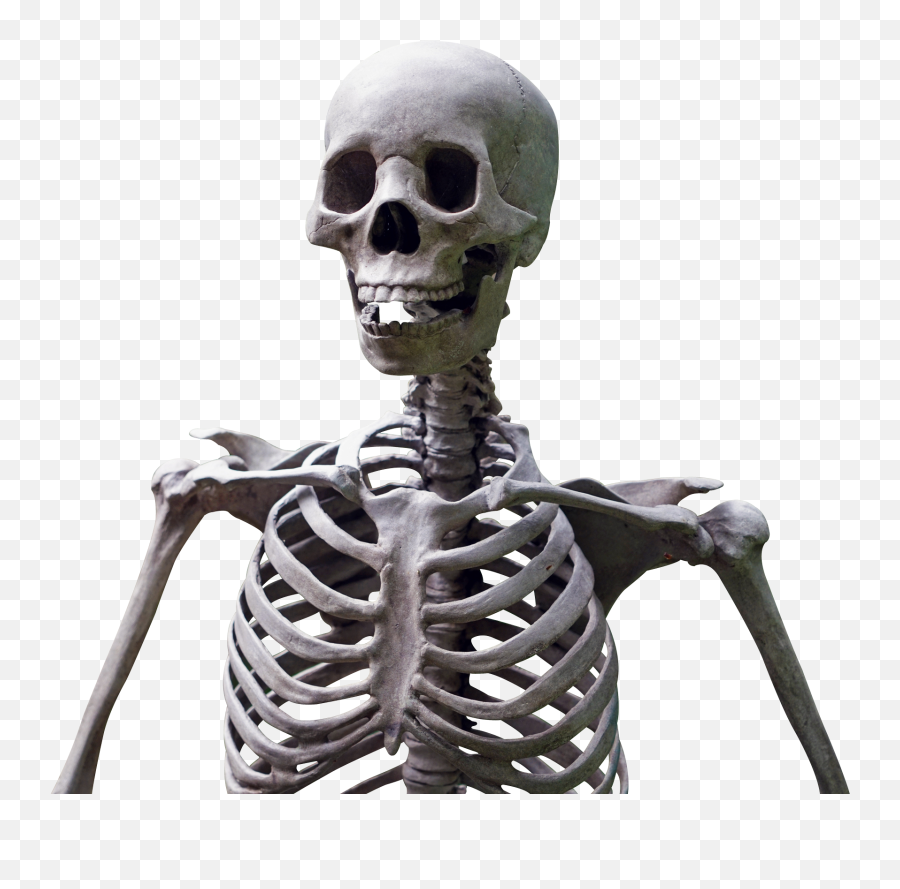 Calaca Esqueleto Dank Meme Chidas Sticker By Geez - Skeleton Png Emoji,Geez Emoji