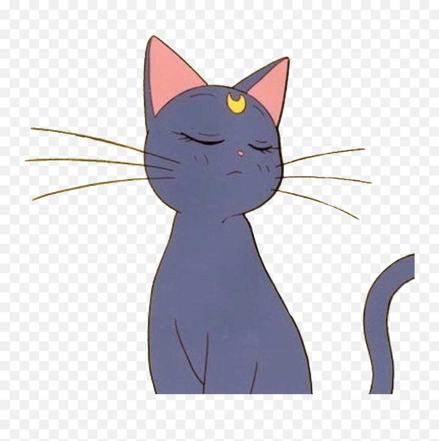 Aesthetic Anime Cat Pfp - Novocomtop Sailor Moon Aesthetic Anime Transparent Emoji,Kagepro Discord Emojis