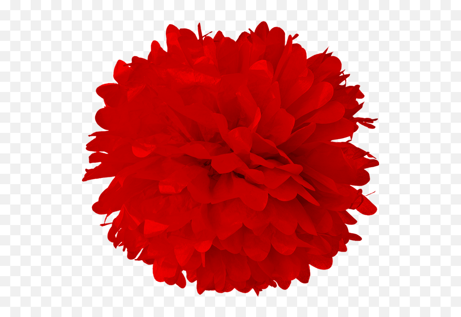 8 Red Tissue Pom Poms Lanterns And More - Yellow Pom Poms Png Emoji,Uca Client Emojis