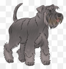 Miniature Schnauzer Clipart - Miniature Schnauzer Emoji,Schnauzer Emoji