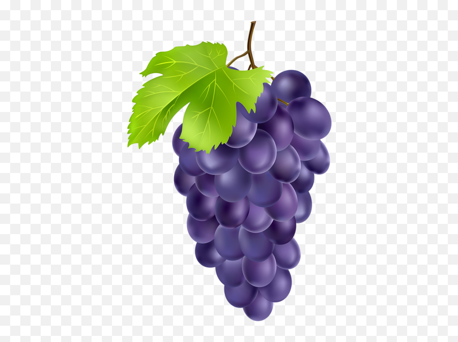 Black Grapes Png Clipart - Grapes Clipart Emoji,Emoticon Fruite