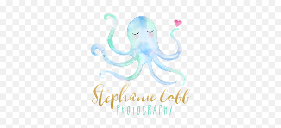 Stephanie Cobb Photography - Common Octopus Emoji,Octopus Emotions