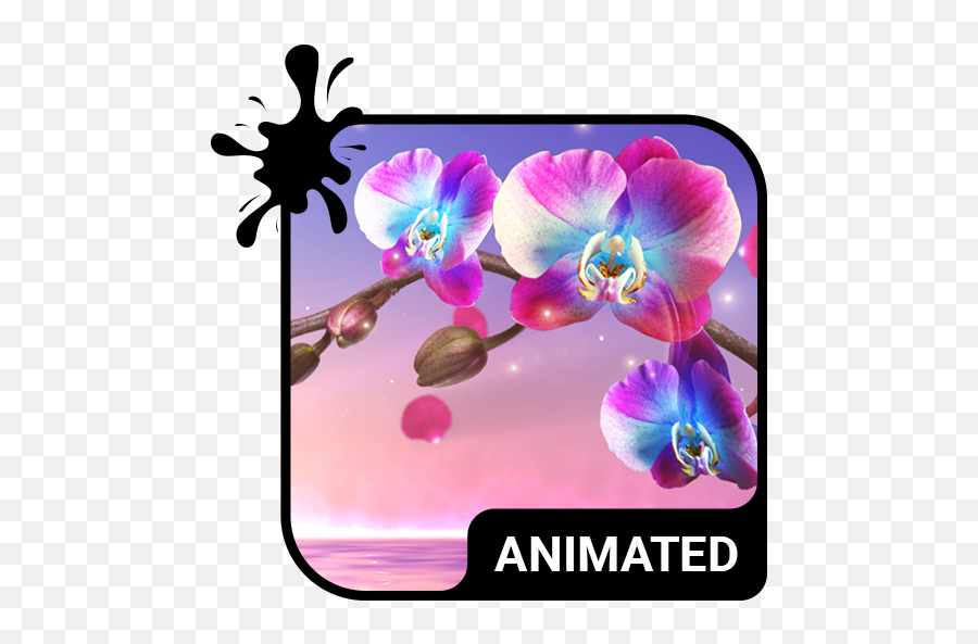 Orchid Animated Keyboard Live - Moth Orchid Emoji,Orchid Emoji