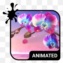 Orchid Animated Keyboard Live - Moth Orchid Emoji,Orchid Emoji
