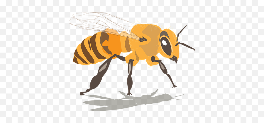 40 Free Hive U0026 Bee Vectors - Pixabay Abejas Png Emoji,Busy Bee Emoticon