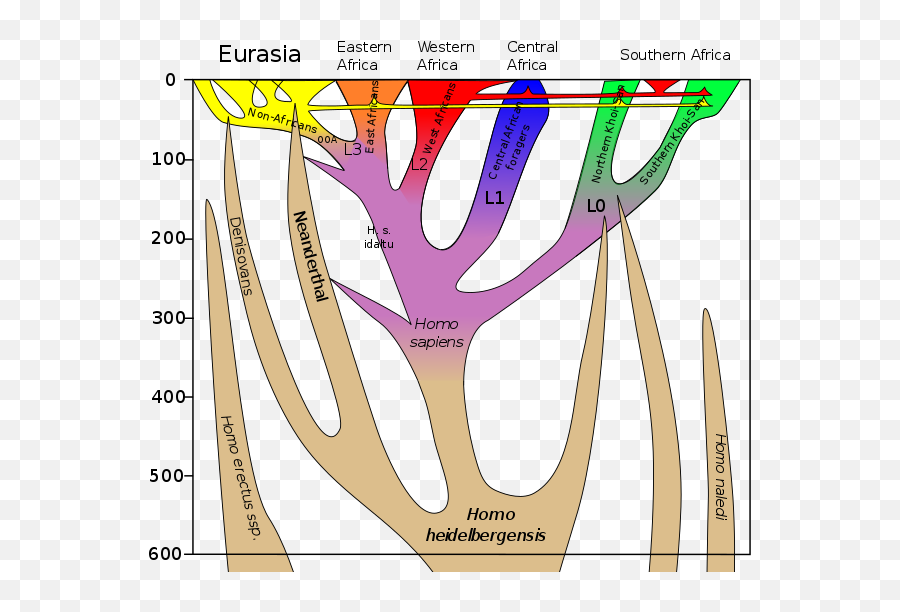 Human Evolution - Human Evolution Not Linear Emoji,Coevolution Layer Emotion