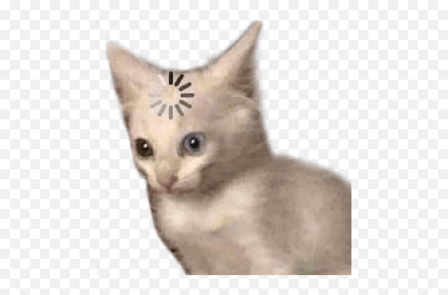 Figurinhas Do Will Smith 4 - Loading Cat Meme Template Emoji,Will Smith Emoticon Msn