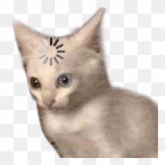 Figurinhas Do Will Smith 4 - Loading Cat Meme Template Emoji,Will Smith Emoticon Msn