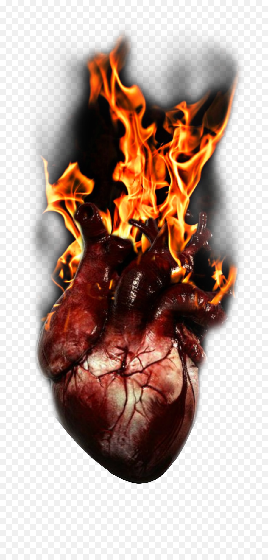 Burn Heart Pain Live Love Fire Sticker - Vertical Emoji,Heart Pain Meme Emojis