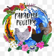 Eggs 101 Paradise Poultry Emoji,Broken Egg Yolk Japanese Emoticon