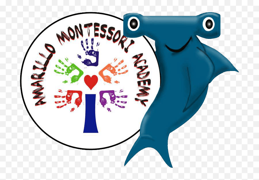 Classes - Amarillo Montessori Academy Amarillo Montessori Academy Emoji,Emotion Mirror Toy For Toddler