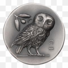 Cook Islands - 2021 5 Dollars Athenau0027s Owl Numiscollect Emoji,Owl Emoticon For Facebook