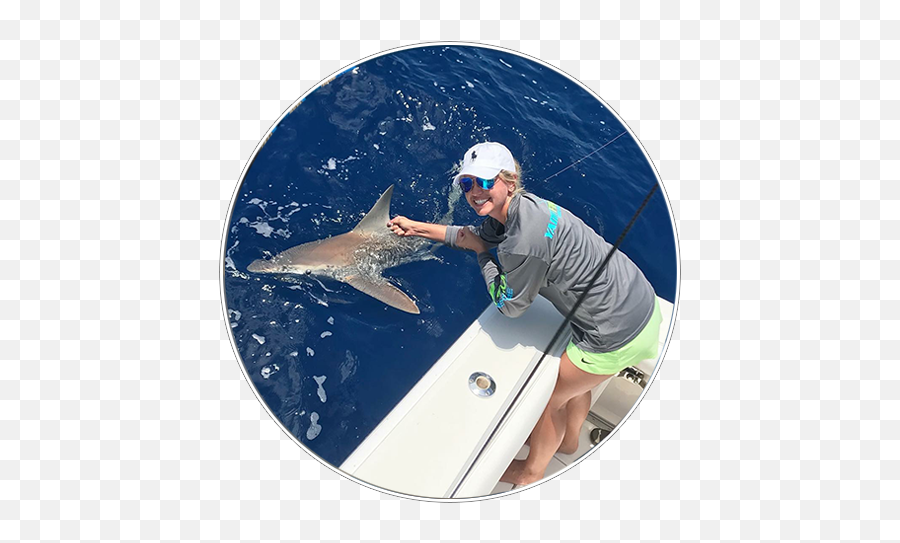 St Pete Beach Shark Fishing Charter Guaranteed Sharks Emoji,Sharks Dont Feel Emotions