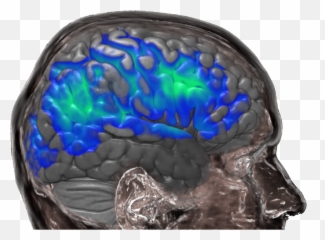 Cam Emoji,Brain Scans Of Emotions
