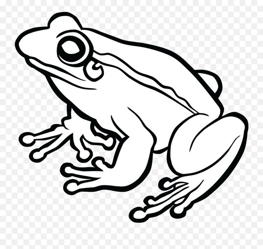 How To Draw A Frog Step By Step - For Kids U0026 Beginners Frog Clipart Black And White Png Emoji,How To Draw Kissing Emoji