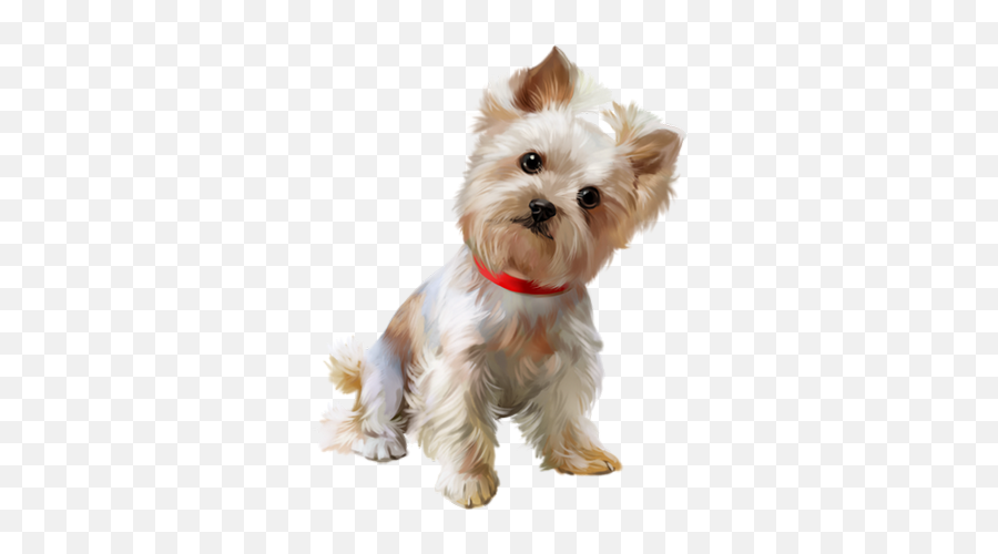 Cani Lupi Volpicanidi In Genere - Page 7 Bon Week End De Décembre Emoji,Westie Dog Emoticon