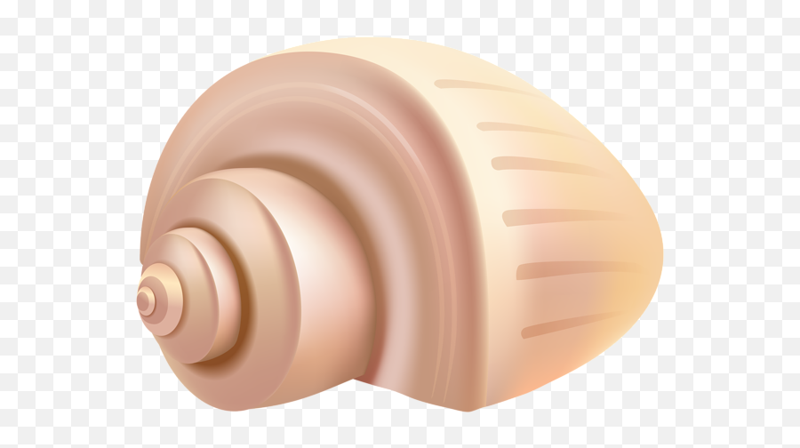 Conch Shell Png Clip Art - Horizontal Emoji,Seashell Emoji