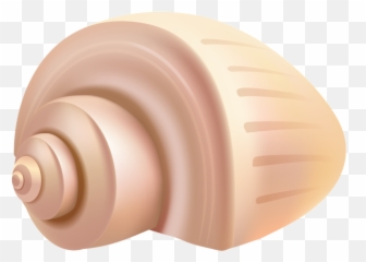 Conch Shell Png Clip Art - Horizontal Emoji,Seashell Emoji