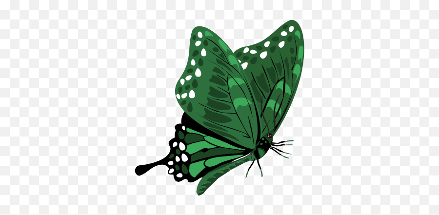 Drawing Of A Butterfly - Swallowtail Butterfly Emoji,Why Is Emoticon A Green Blob Alien