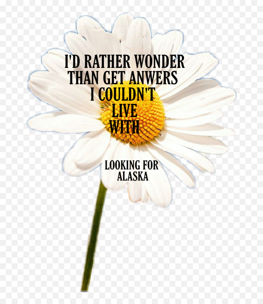 The Most Edited Alaska Picsart - Girls Raised In The South Emoji,Alaska Flag Emoji