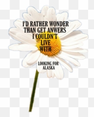 The Most Edited Alaska Picsart - Girls Raised In The South Emoji,Alaska Flag Emoji