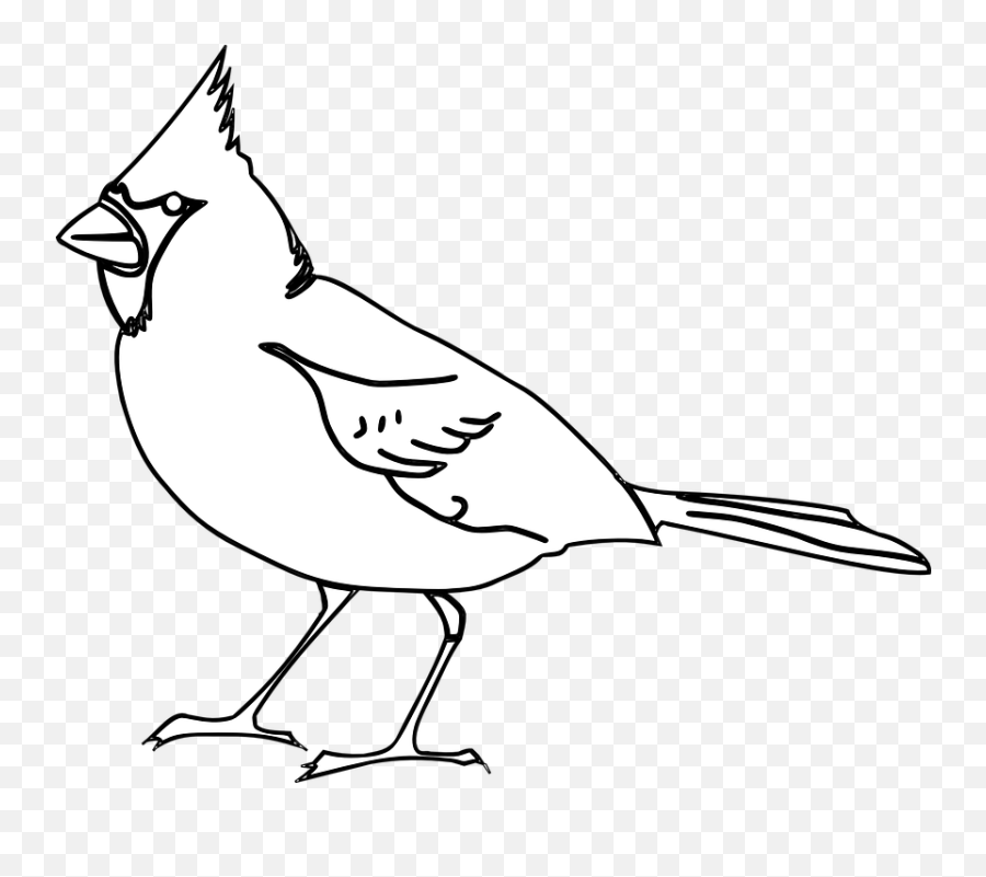Bird Cardinal Songbird Beak Tuft Nature - St Louis Cardinal Png Outline Emoji,Cardinal Bird Facebook Emoticon