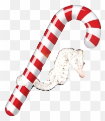 Horsecandy Sticker - Transparent Candy Cane Stick Emoji,Douche Emoji