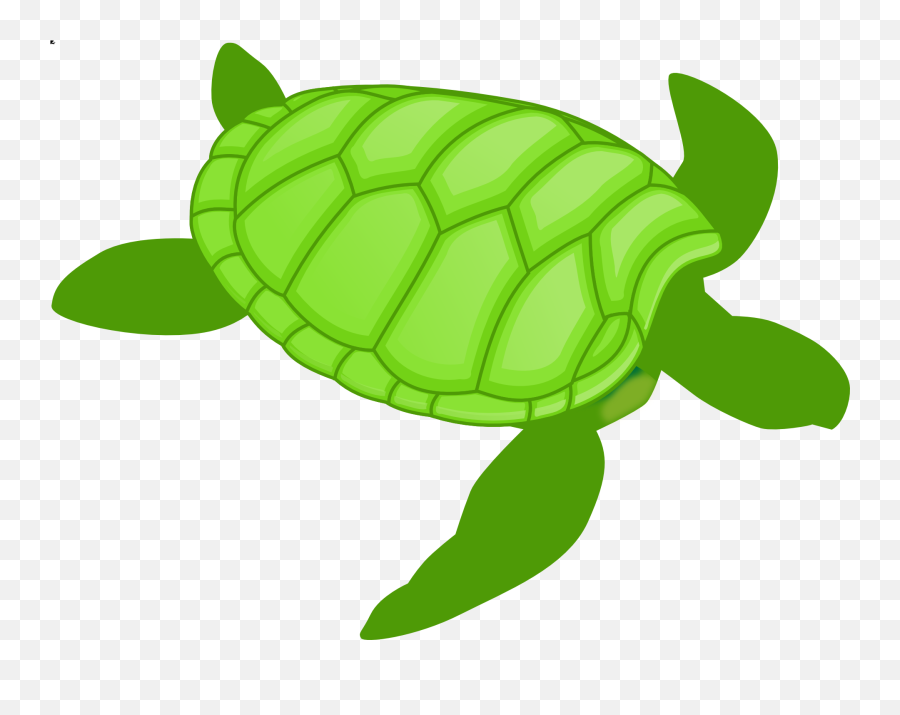 Drawing Green Water Turtle Free Image Download Emoji,Emotion Ocean Water